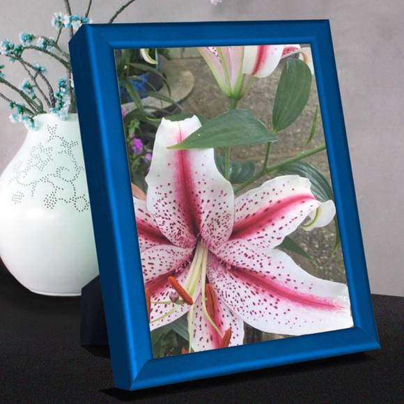 Meet your Posher, Lee - Picture 1 of 1